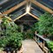 greenhouse02.jpg