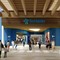 Fiordaliso_North_V04dc_blue.jpg